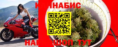 ALPHA PVP Аргун