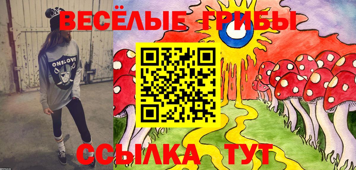 Псилоцибиновые грибы ЛСД Артёмовский