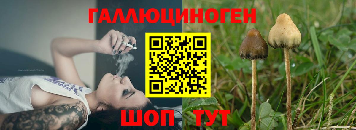 Артёмовский  Галлюциногенные грибы мухоморы  Вход с VPN 